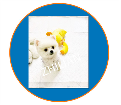 Πλάτος 800mm Pet Training Pad Pet Pad Machine 200m/min 350 m/min