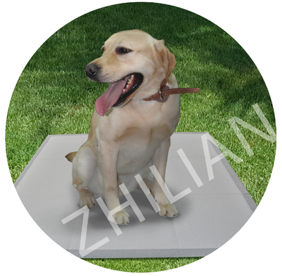 Μίας χρήσης μηχανή μαξιλαριών της Pet